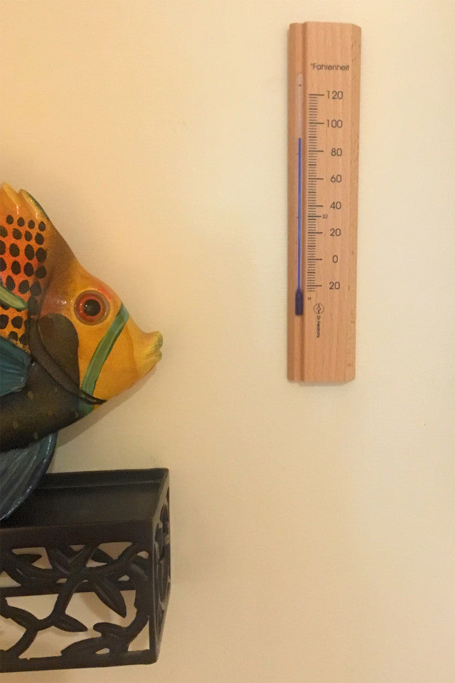 Wall Thermometer Beech Wood 7.8 inch, Natural Finish
