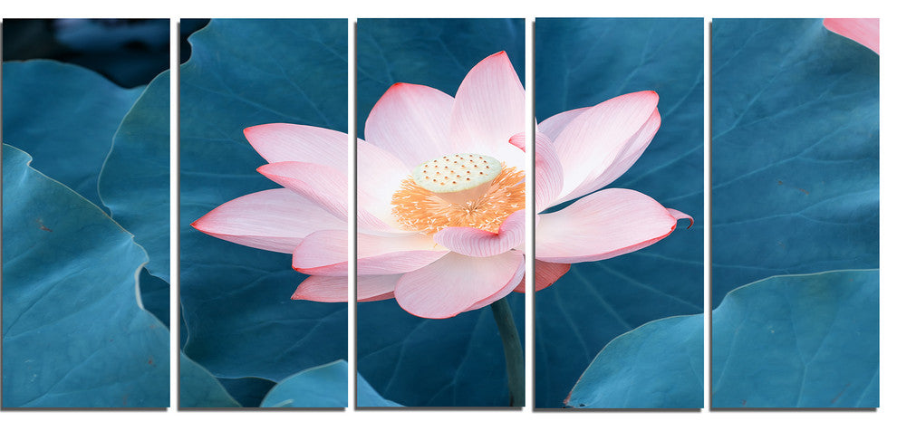 "Blooming Pink Lotus Flower" Oversized Beach Canvas Artwork, 5 Panels, 60"x28"