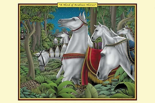 A Herd of Arabian Horses- Canvas Poster 20" x 30"