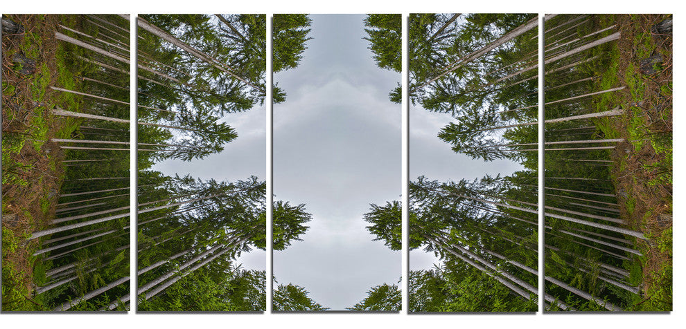 Circle Composition of Coniferous Trees, Landscape Canvas Art, 60"x28", 5 Panels
