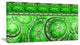 Green Living Cells Fractal Design, Abstract Canvas Art Print, 32x16
