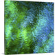 "Monet's Pool III" Wrapped Canvas Art Print, 24"x24"x1.5"