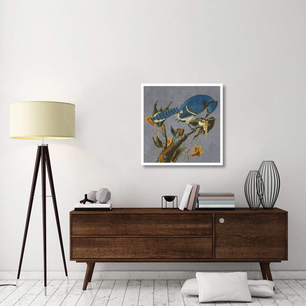 "Audubon Decor - Bluejay Detail" Digital Paper Print by BG.Studio, 32"x32"