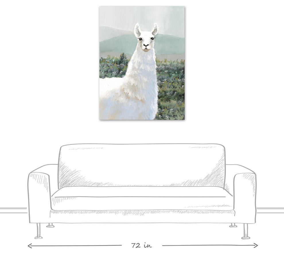 White Llama, Pasture 30"x40" Canvas Wall Art