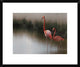 "Untitled" Framed Digital Print by Anna Cseresnjes, 24x20"