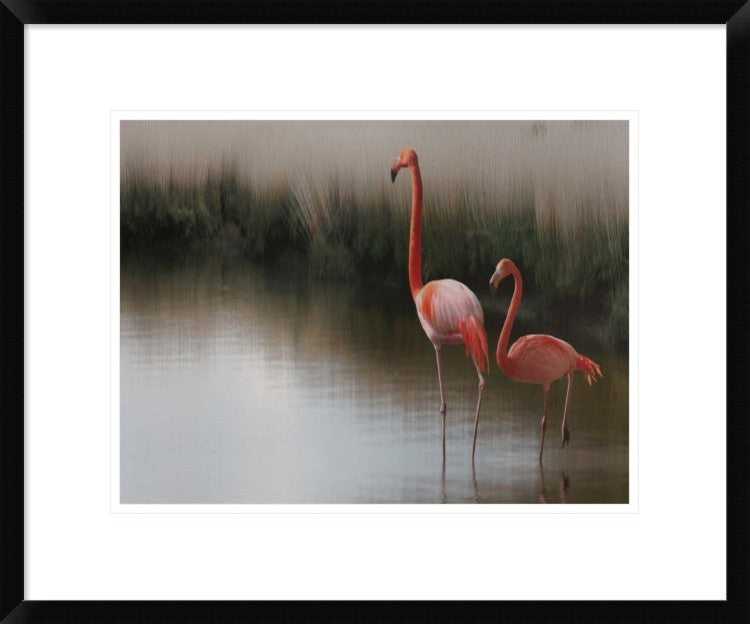 "Untitled" Framed Digital Print by Anna Cseresnjes, 24x20"