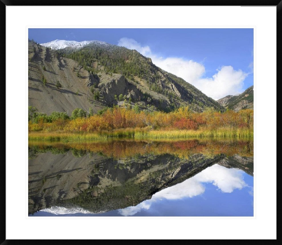 "Boulder Mountains reflected in beaver pond, Idaho"  by Tim Fitzharris, 38x32"