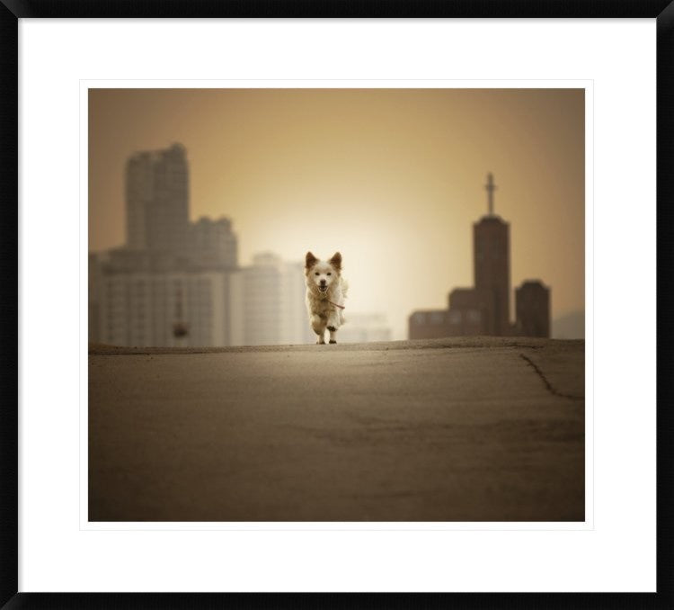 "Be With You" Framed Digital Print by Biduri Chang-Hwan Park, 30x27"