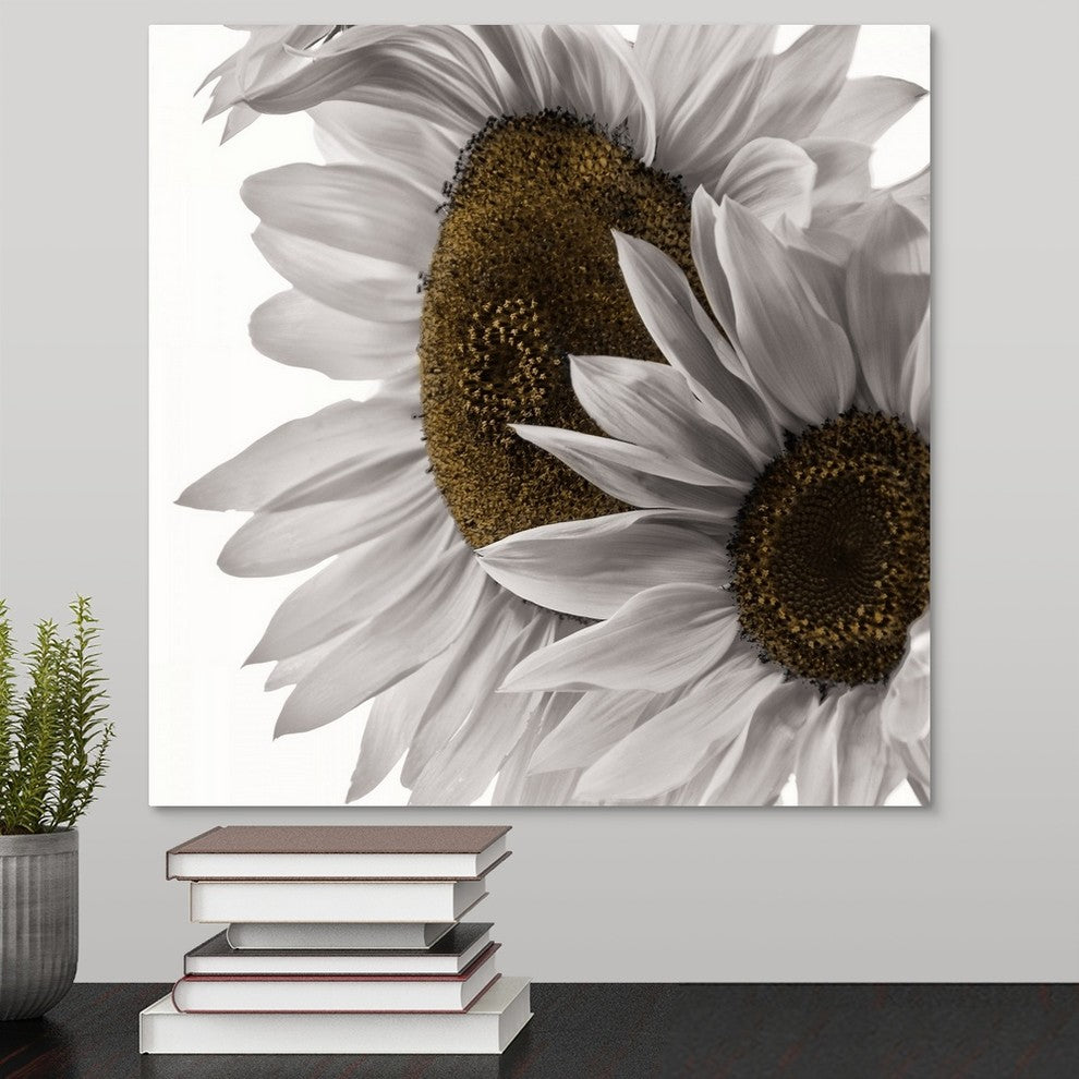 "White Softness" Wrapped Canvas Art Print, 16"x16"x1.5"