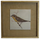 Single Yellow And Brown Bird On Burlap