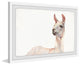 "Hey There Llama" Framed Painting Print, 30"x20"