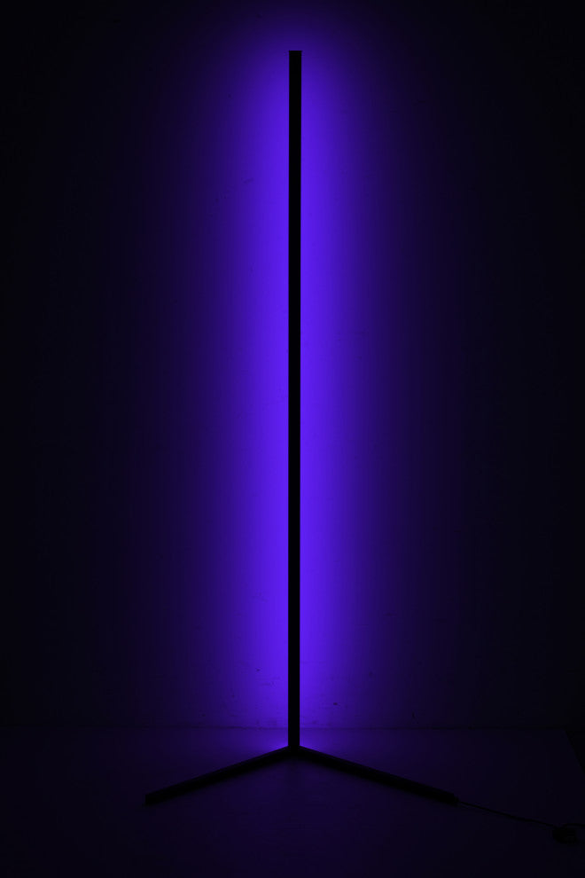 Bethel International OC54F57B 1-Light LED Floor Lamp, Matte Black