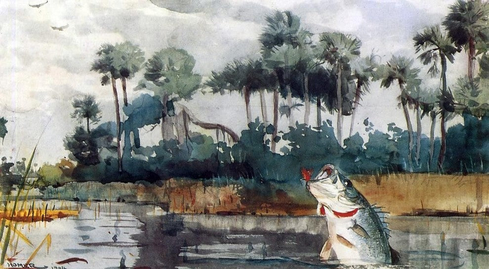 Winslow Homer Black Bass- Florida, 15"x30" Gallery Wrapped Canvas Print