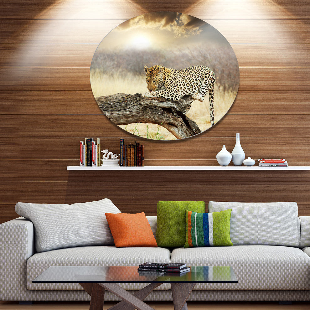 Leopard Relaxing On Tree, African Large Disc Metal Wall Art, 36"