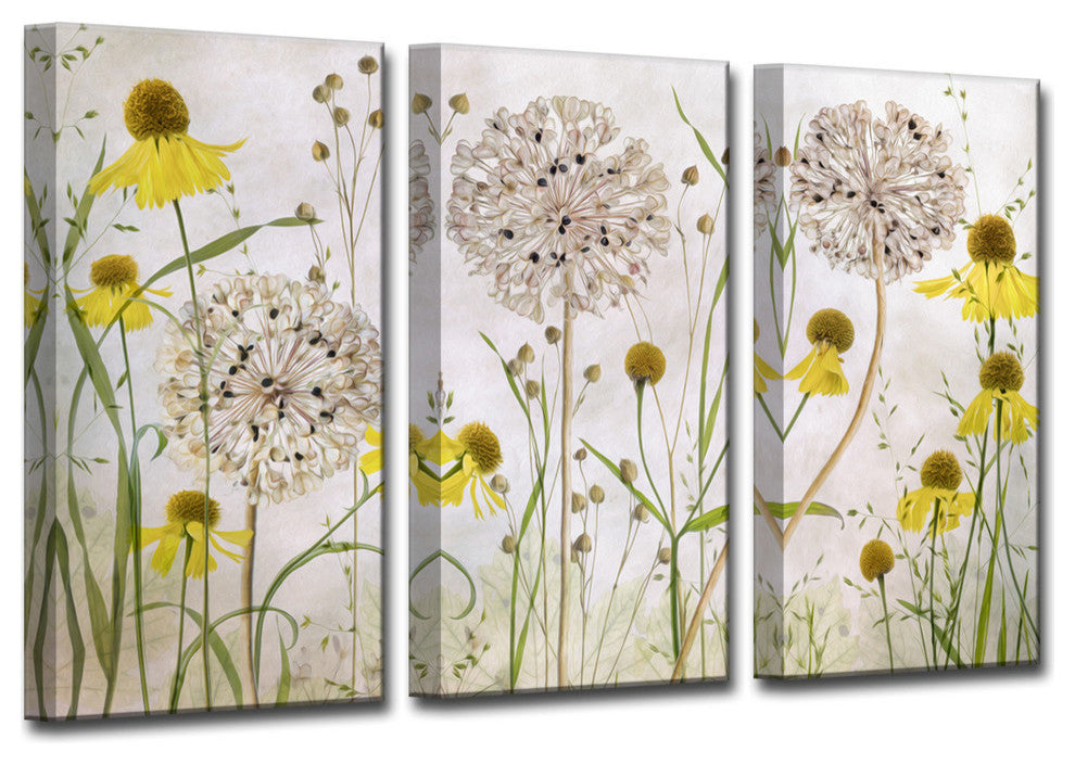 Ready2HangArt 'Alliums and Heleniums' 3-Piece Canvas Wall Decor Set, 60"x40"