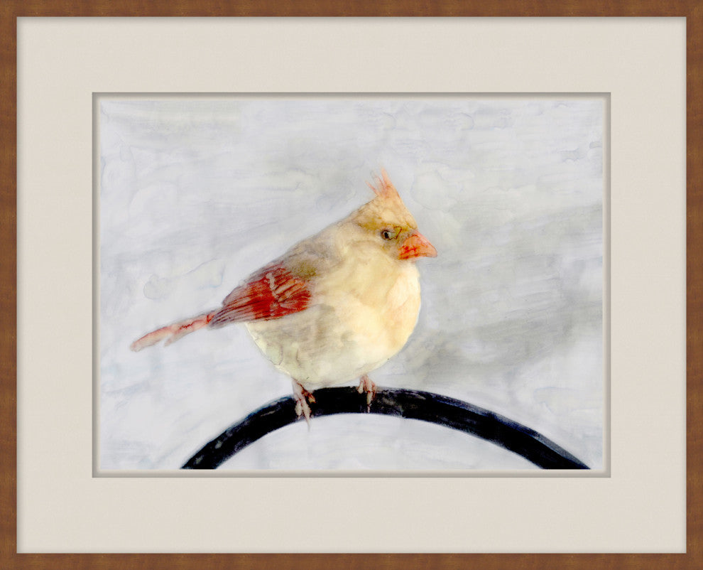 Back Country Bird Study 6, Giclee Reproduction Artwork
