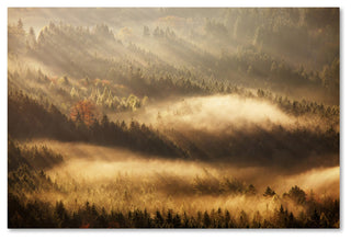 Martin Rak 'Autumn Rays' Canvas Art, 47x30