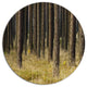 Dark Fall Forest With Green Grass, Forest Large Disc Metal Artwork, 23"