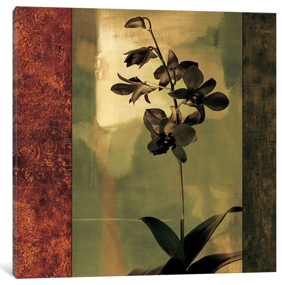 "Mesmerized II" by Chris Donovan, Canvas Print, 26"x26"