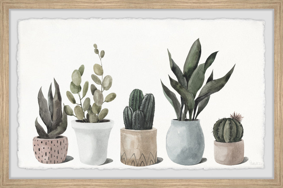 "Ultimate Succulent Collection" Framed Painting Print