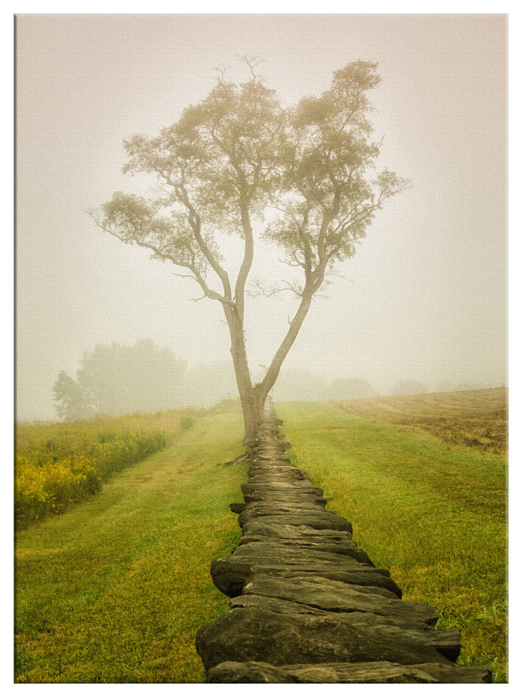 Calming Morning Rural Landscape Photograph Canvas Wall Art Print, 12" X 16"
