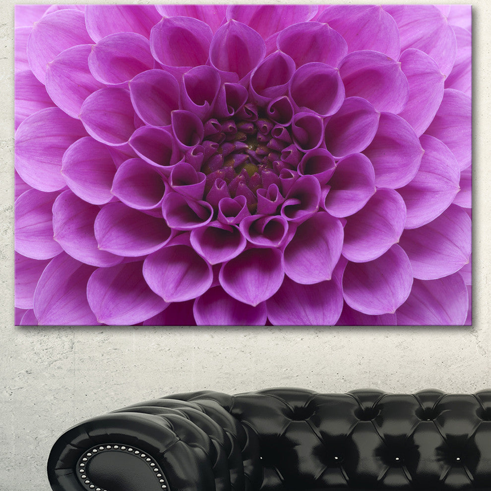 Large Light Purple Flower and Petals, Floral Canvas Art Print, 40"x30"