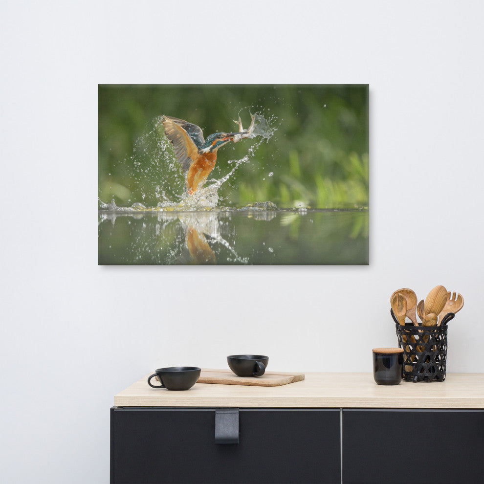 Flying Common Kingfisher Bird - Fish Animal Wildlife Photo Canvas Wall Art Print, 24" X 36"