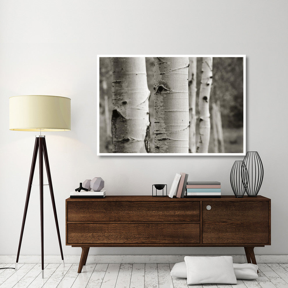 "Aspens III" Digital Paper Print by Debra Van Swearingen, 62"x42"