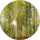 Green Forest Panoramic View, Landscape Photo Disc Metal Wall Art, 38"