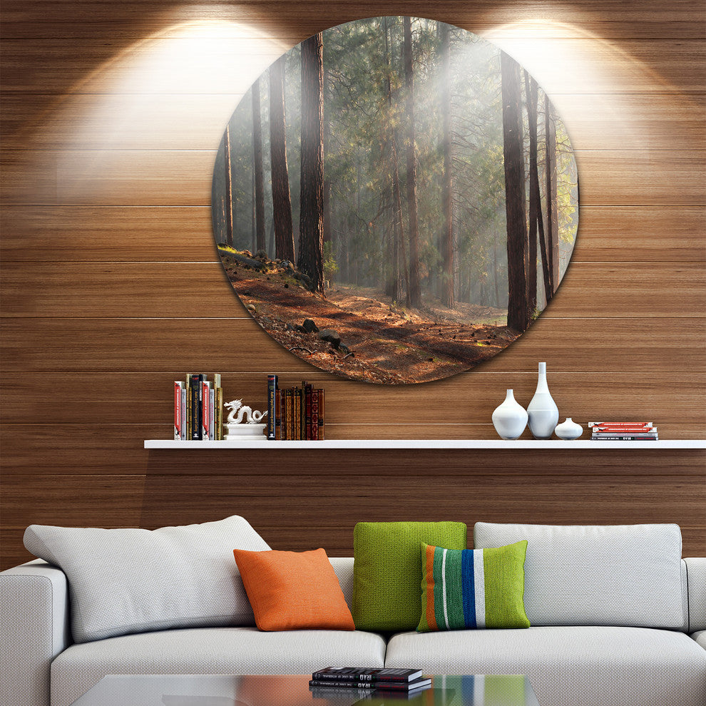 Rays Of Sun In Dense Forest, Landscape Photo Round Wall Art, 11"
