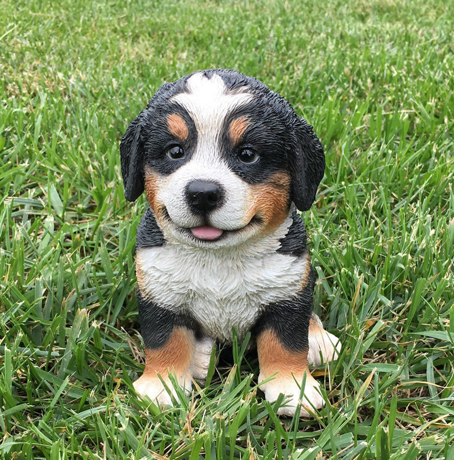 Realistic Bernese Mountain Dog Puppy Garden Statue