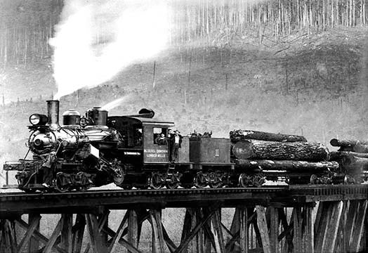 Get 'Em to the Mill!- Gallery Wrapped Canvas Art 28" x 42"