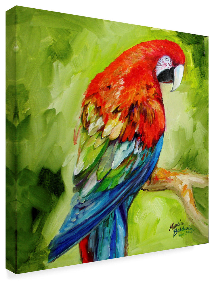 Marcia Baldwin 'Macaw Tropical' Canvas Art, 14"x14"