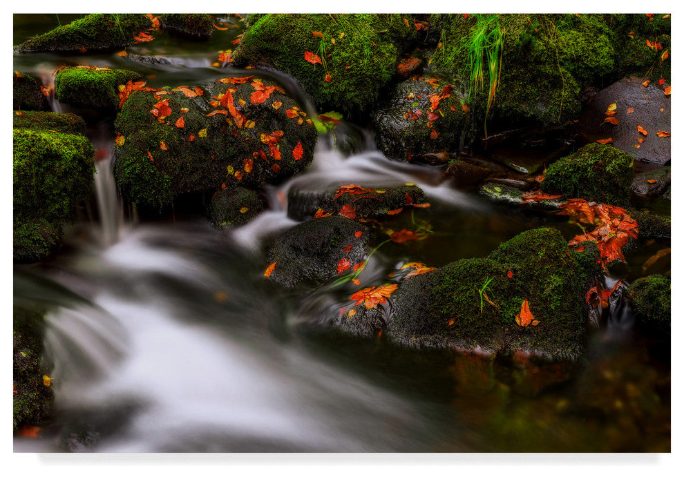 Yavuz Pancareken 'Autumn Melodies Water' Canvas Art, 47"x30"