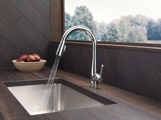 Delta Essa Single Handle Pull-Down Kitchen Faucet, Chrome, 9113-DST