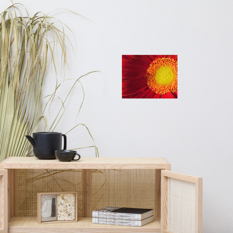 Nature's Beauty Nature Photography, Floral Unframed Wall Art Print, 11" X 14"