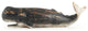 Sperm Whale Sculpture, S