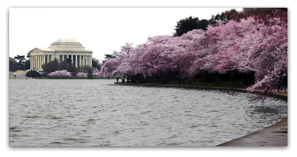 CATeyes ''Basin Blossoms'' Canvas Art, 16x32