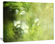Blur Green Sky with Stars, Abstract Canvas Art Print, 40x30