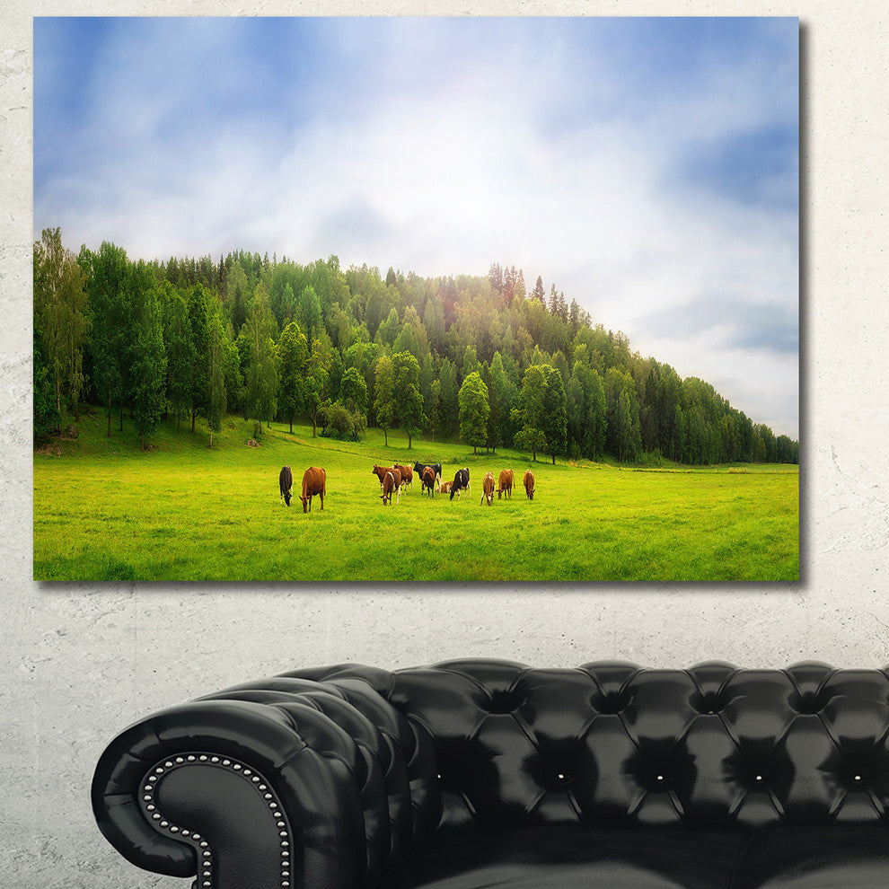 Cows on Field Panorama, Landscape Canvas Art Print, 40"x30"