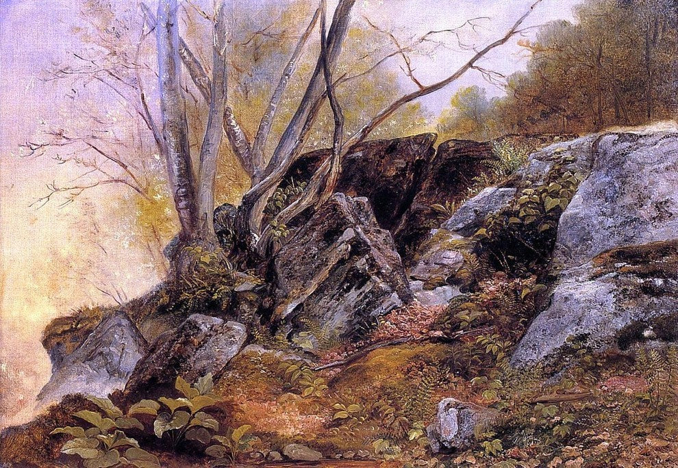 Asher Brown Durand Study from Nature Rocks and Trees Gallery Wrapped Canvas
