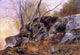 Asher Brown Durand Study from Nature Rocks and Trees Gallery Wrapped Canvas