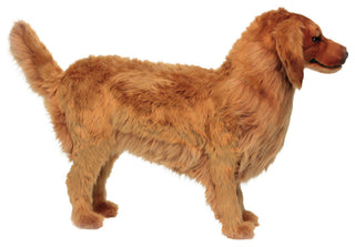 Life-Size Golden Retriever Stool