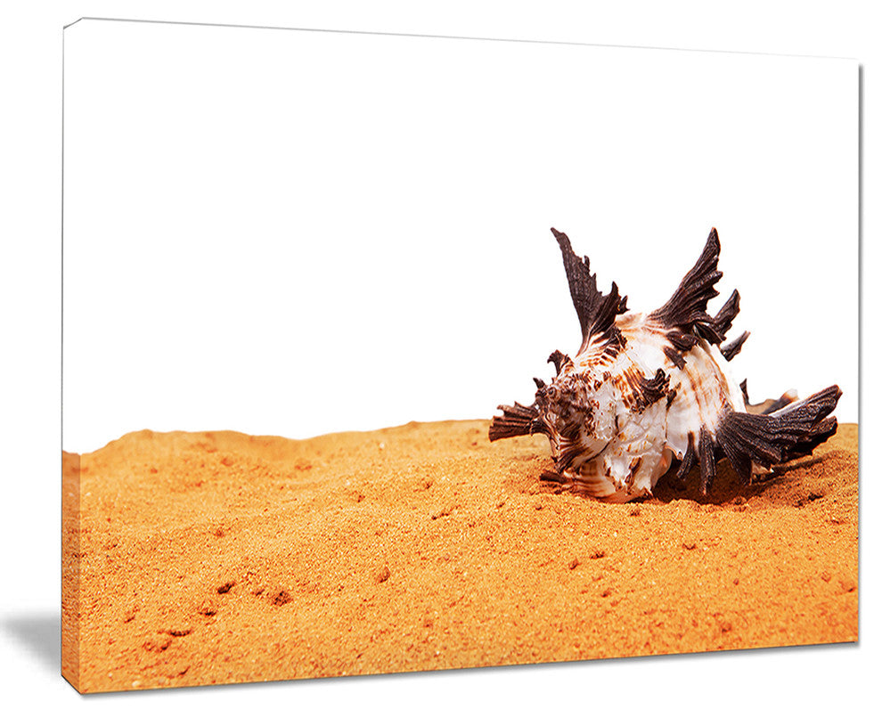 "Large Sea Shells on Sand" Canvas Print