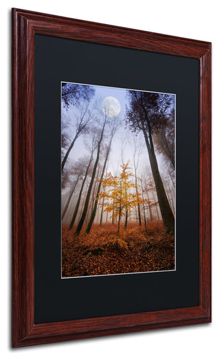 'Sentinel' Matted Framed Canvas Art by Philippe Sainte-Laudy