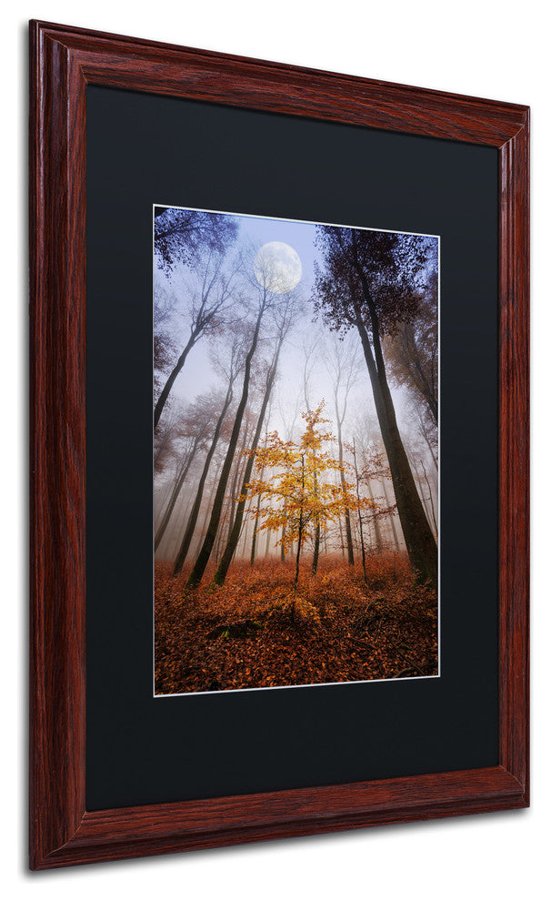 'Sentinel' Matted Framed Canvas Art by Philippe Sainte-Laudy