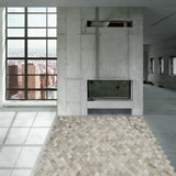 Cowhide Patchwork Rug, Demeter, Platinum, 9'x12'