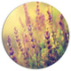 Vintage Photo Of Wild Purple Flower, Flower Disc Metal Artwork, 11"