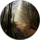 Dark Path In Fall Foggy Forest, Landscape Photo Round Wall Art, 11"