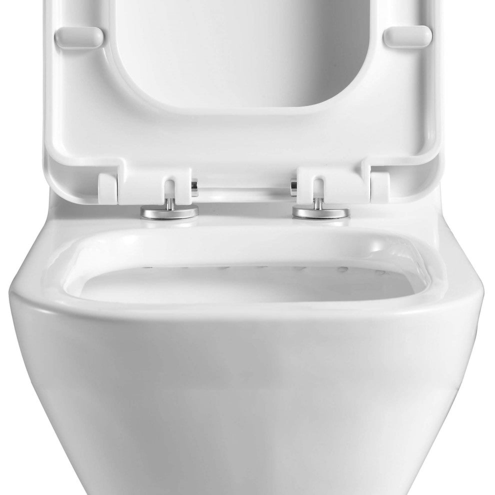 Fine Fixtures Dual-Flush Elongated One-Piece Toilet with High Efficiency Flush